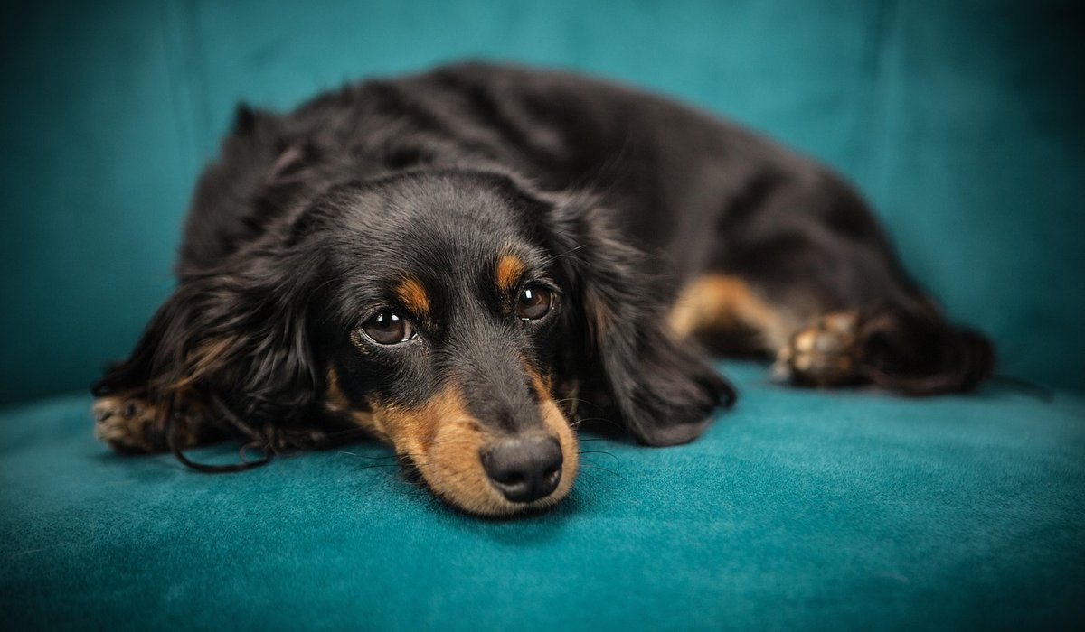 Removing Stains from Upholstery Without Harsh Chemicals